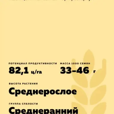 don-107-6-284445
