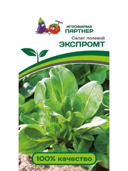 ekspromt-1-289495