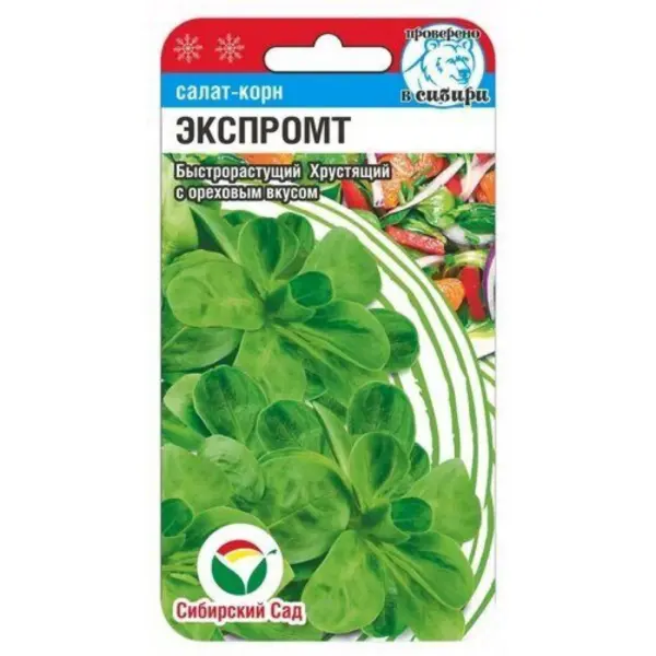 ekspromt-2-289495