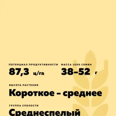 galina-8-284921