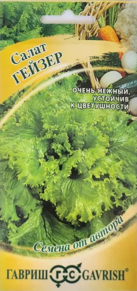 geyzer-2-290445