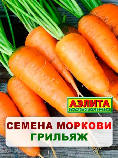 grilyazh-2-273931