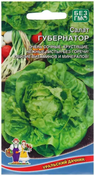 gubernator-1-290547