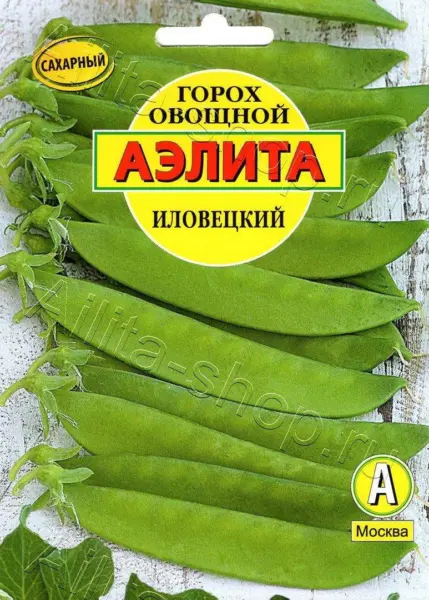ilovetskiy-1-295483