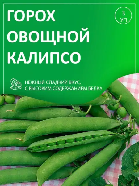 kalipso-3-295919