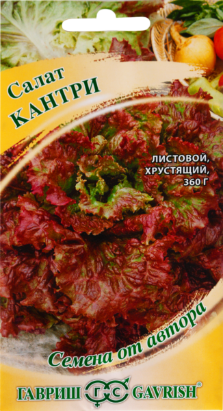 kantri-1-290045