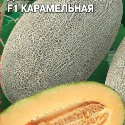 karamelnaya-main-293689