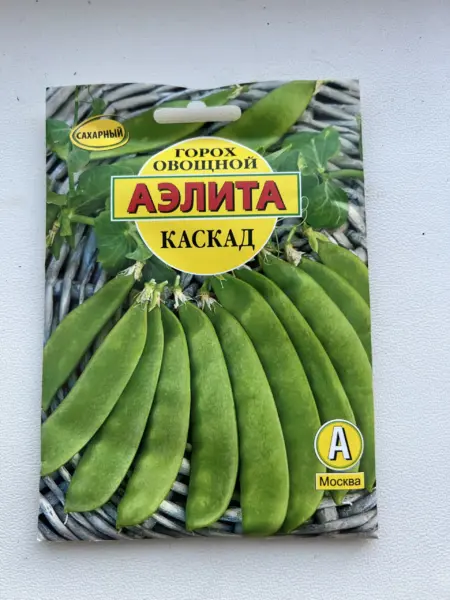 kaskad-2-296353