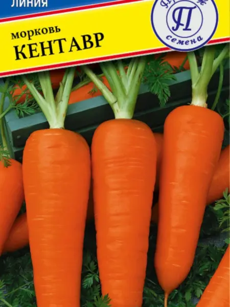 kentavr-1-274135