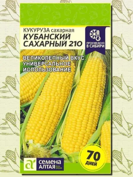 kubanskiy-saharnyy-210-1-296865