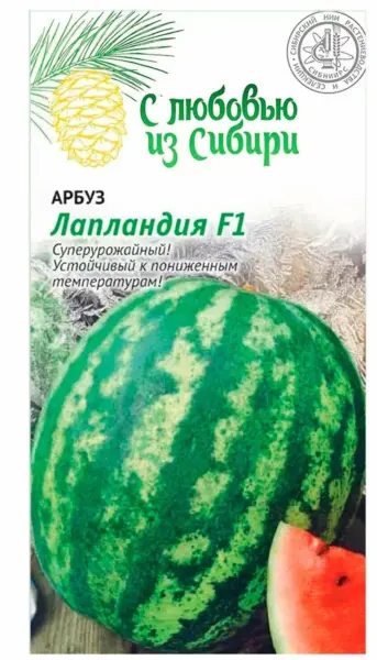 laplandiya-f1-2-278656