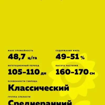 lyubo-10-287461