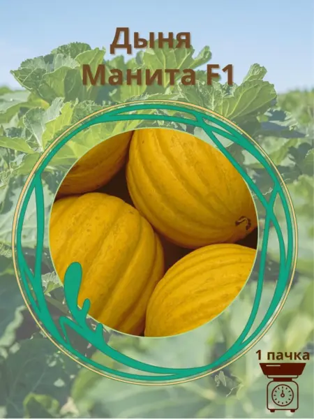 manita-3-294899
