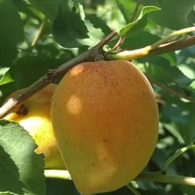 manitoba-7-291401