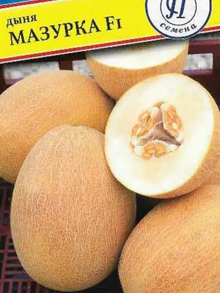 mazurka-1-294698