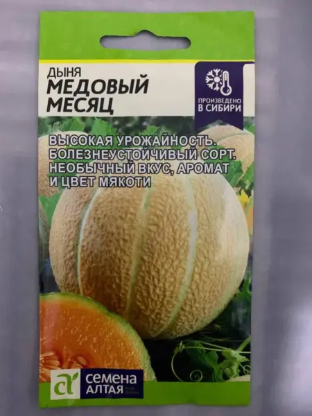 medovyy-mesyats-1-294857
