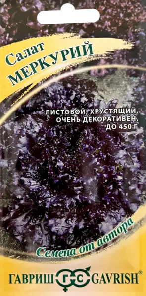 merkuriy-1-289345
