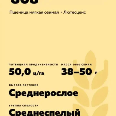 mironovskaya-808-7-284575