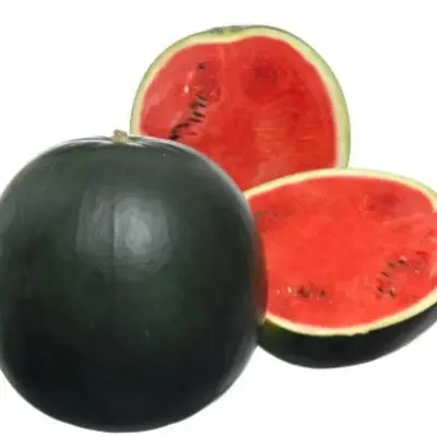 mulat-f1-5-278991