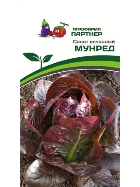 munred-4-290433