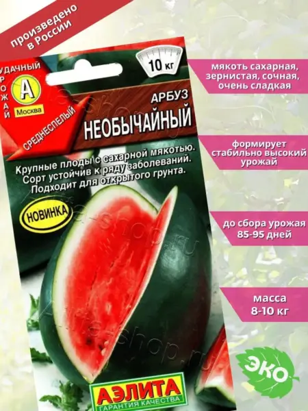 neobychaynyy-2-278660