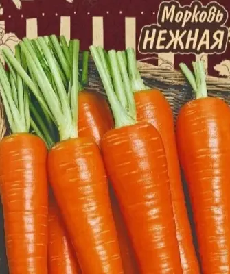 Нежная