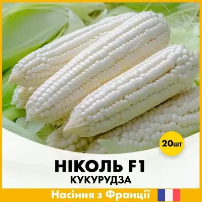 nikol-7-296995