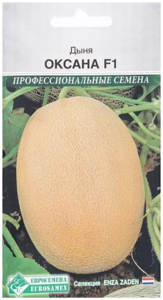 oksana-1-293802