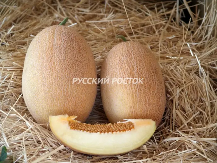 oksana-3-293802