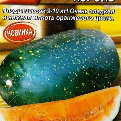 oranzhevyy-korol-6-279736