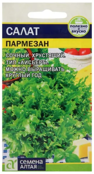 parmezan-1-290631