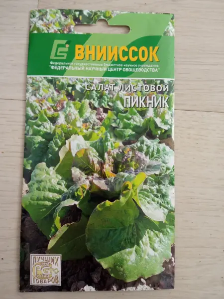piknik-main-289249