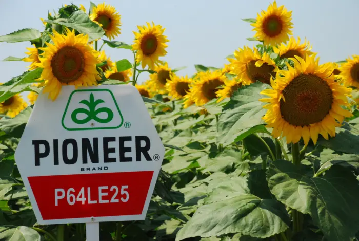 pioner-pr64le25-1-287281