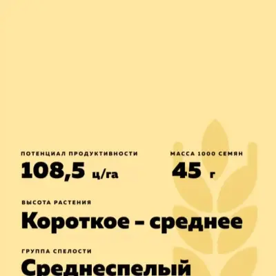 pobeda-75-7-285337