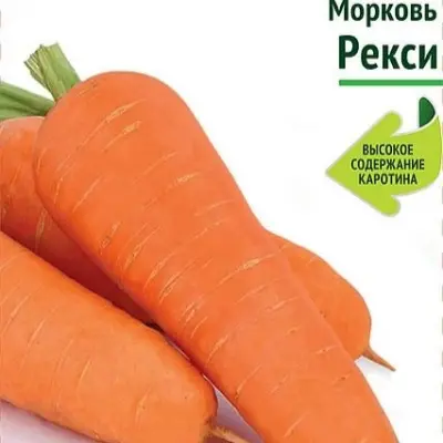 reksi-4-273871