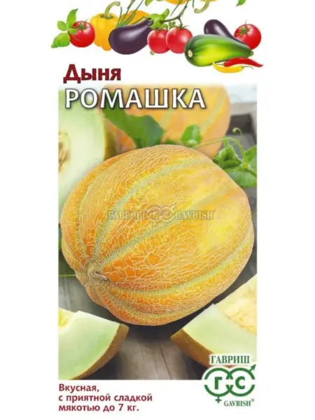romashka-1-294837