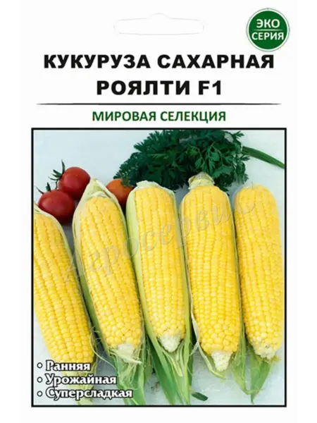 royalti-1-297068