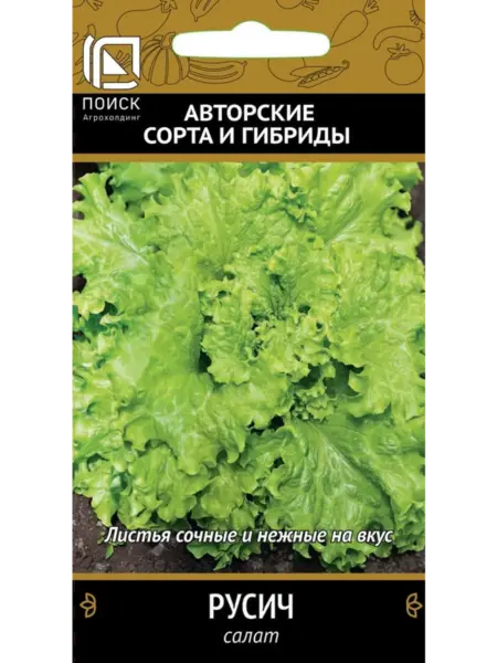 rusich-3-290505
