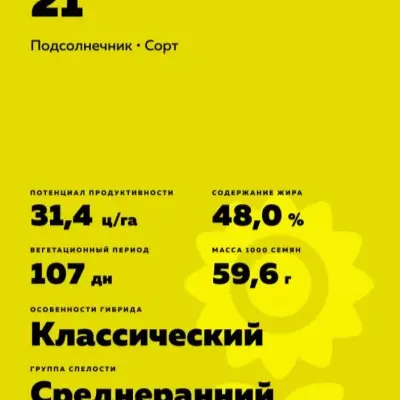 saratovskiy-21-7-288241