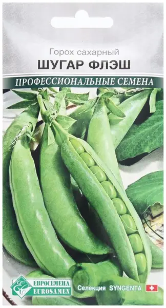 shugar-flesh-1-296086
