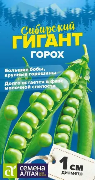sibirskiy-gigant-1-296330