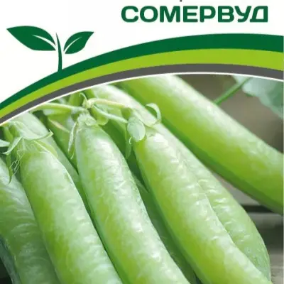 somervud-6-295447