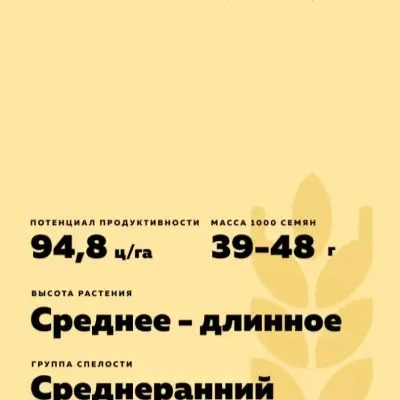 stat-6-284634