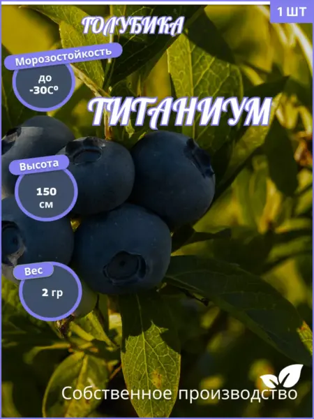 titanium-3-299194
