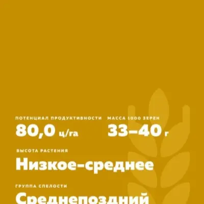 trizo-10-285466