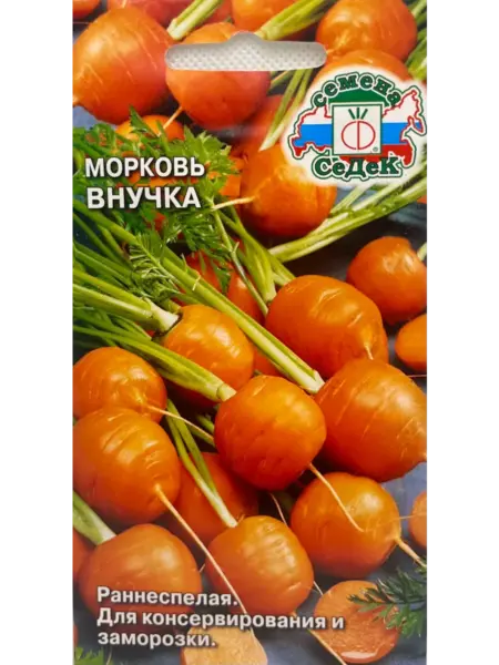 vnuchka-1-273381