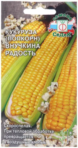 vnuchkina-radost-1-296907