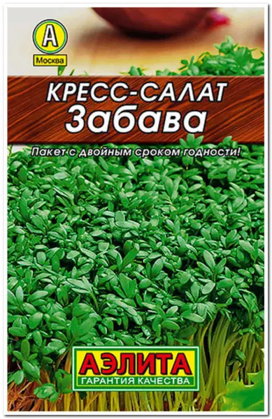 zabava-1-289363
