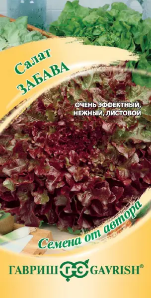 zabava-krasnyy-1-290480