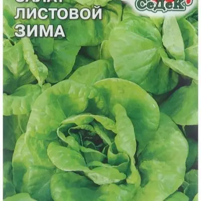 zima-main-289981
